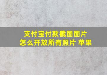 支付宝付款截图图片 怎么开放所有照片 苹果